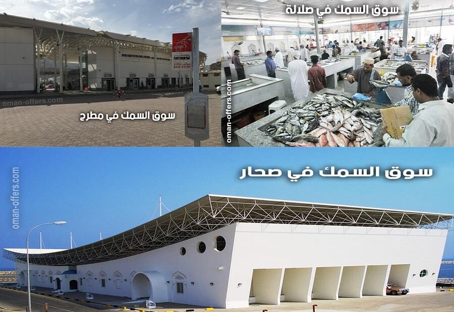 سوق السمك في سلطنة عمان