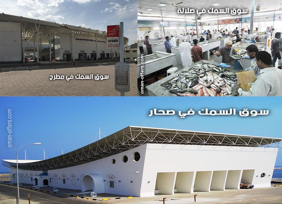 Read more about the article سوق السمك في سلطنة عمان