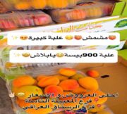 عروض المدينة المميزة للتسوق يومي 10 و 11 يونيو