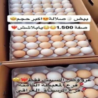 عروض المدينة المميزة للتسوق يوم 18 يوليو