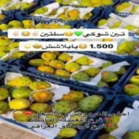 عروض المدينة المميزة للتسوق من 15 حتى 17 يوليو