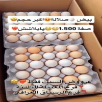 عروض المدينة المميزة للتسوق يوم 25 يوليو