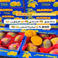 عروض المدينة المميزة للتسوق من 29 حتى 31 يوليو