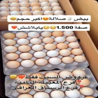 عروض المدينة المميزة للتسوق يوم 8 اغسطس
