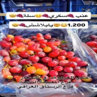 عروض المدينة المميزة للتسوق من 12 حتى 14 اغسطس