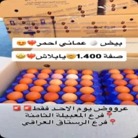 عروض المدينة المميزة للتسوق يوم 23 اغسطس
