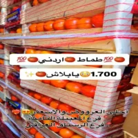عروض المدينة المميزة للتسوق من 2 حتى 4 سبتمبر
