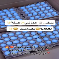 عروض المدينة المميزة للتسوق يوم 19 سبتمبر
