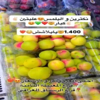 عروض المدينة المميزة للتسوق يومي 22 و 23 سبتمبر