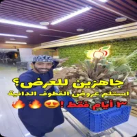عروض القطوف الدانية سمائل من 14 حتى 16 اكتوبر